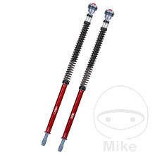YSS Top Line Twin Yamaha T-Max 530/560